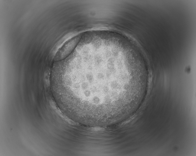 X0000115551409200912181542