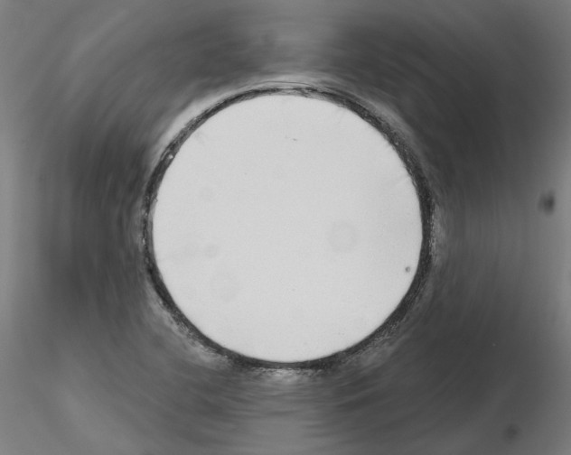 X0000115551412200912181542