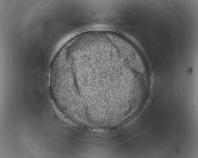 X0000115551413200912181542