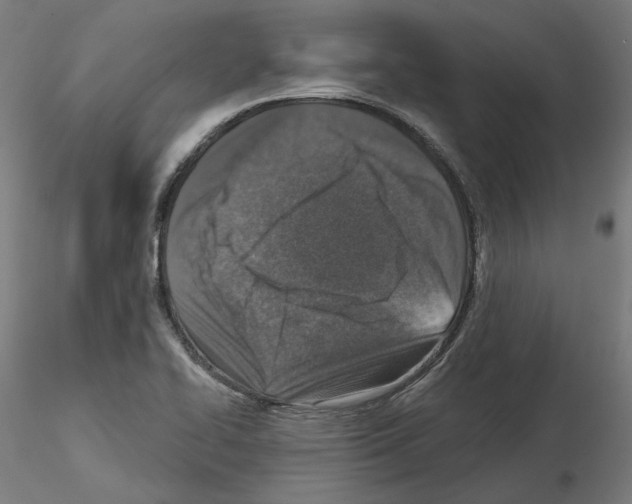 X0000115551414200912181542