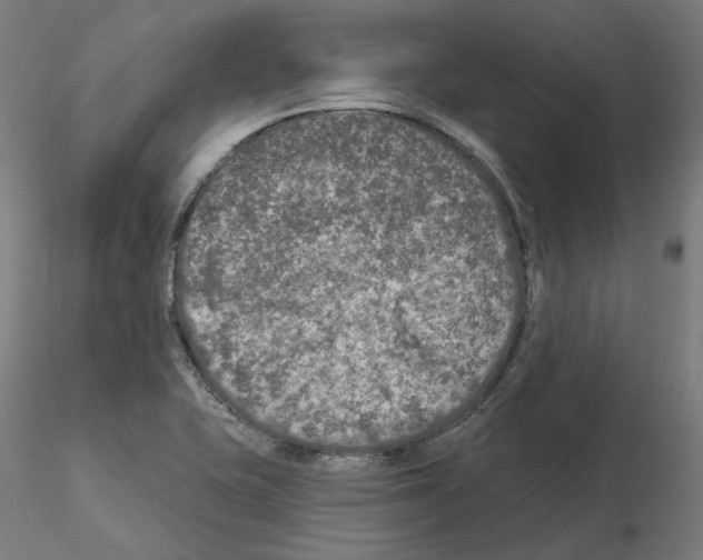 X0000115551415200912181542