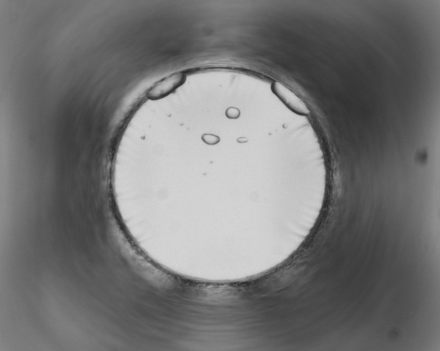 X0000115551416200912181542