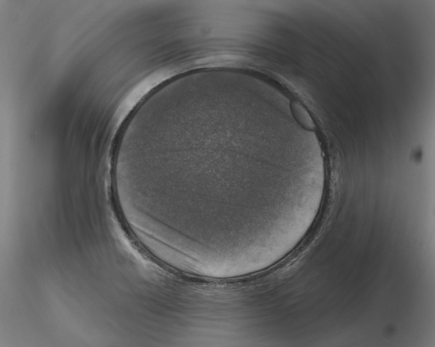 X0000115551418200912181542