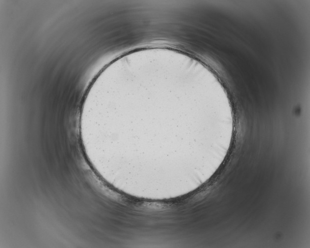 X0000115551420200912181542