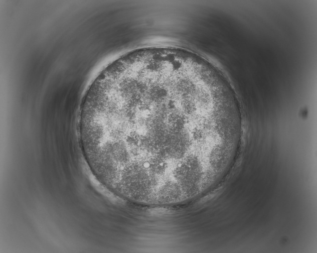 X0000115551421200912181542