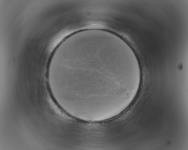 X0000115551422200912181542