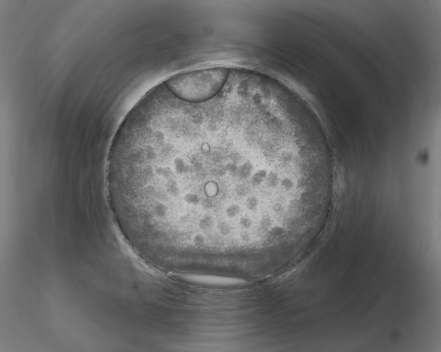 X0000115551423200912181542