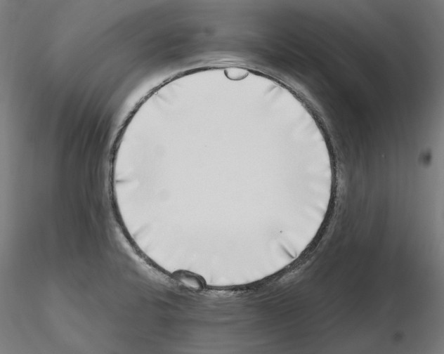 X0000115551424200912181542