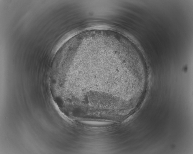 X0000115551425200912181542