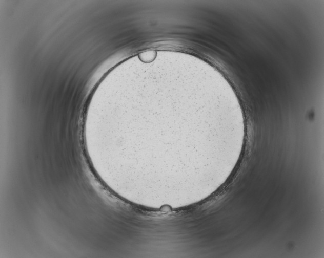 X0000115551426200912181542