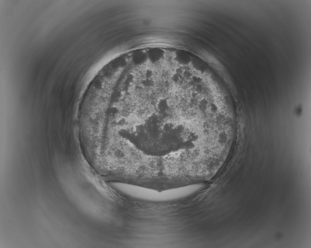 X0000115551427200912181542