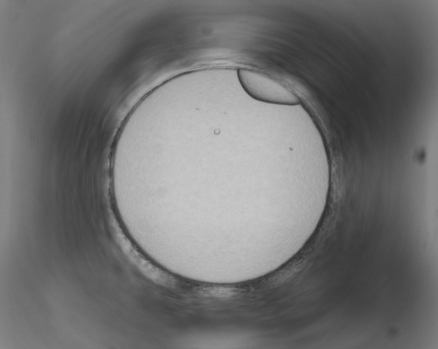 X0000115551431200912181542