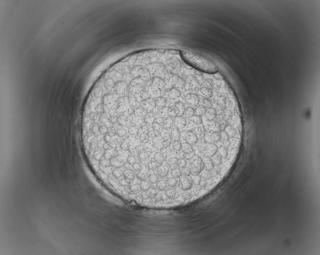 X0000115551432200912181542