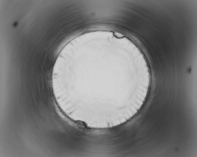 X0000115551433200912181542