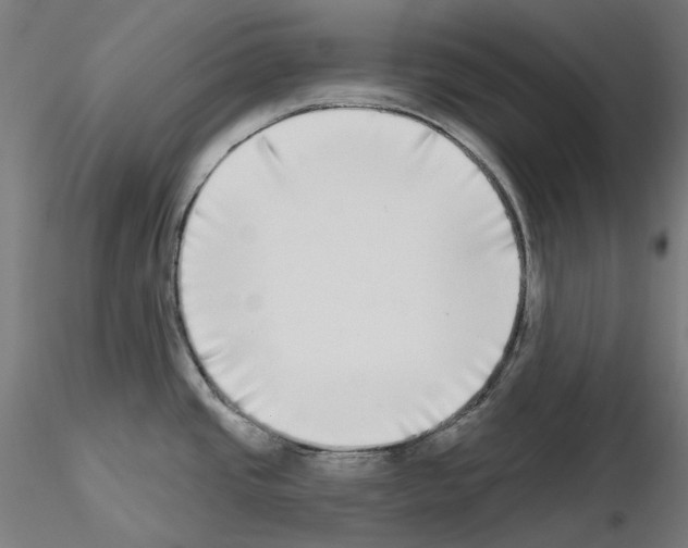 X0000115551437200912181542