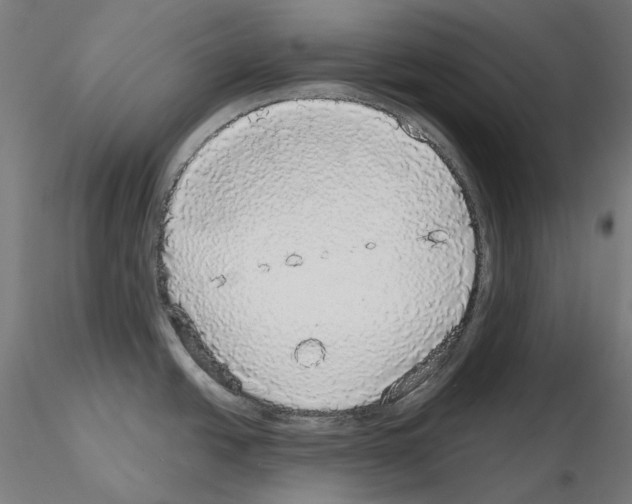 X0000115551438200912181542