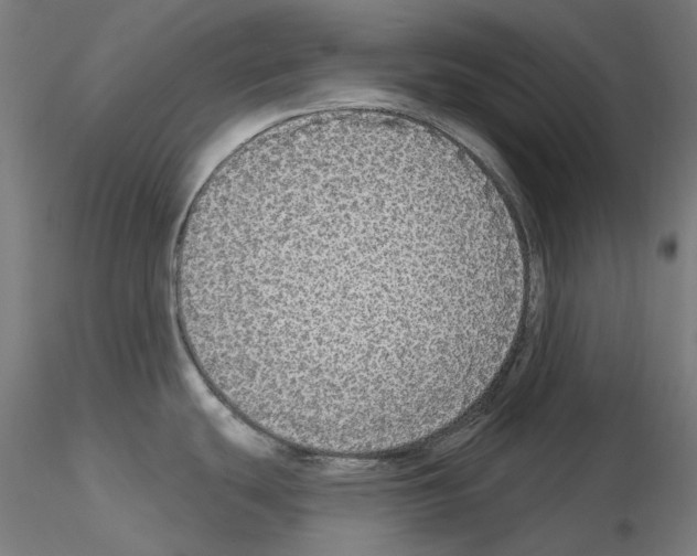 X0000115551439200912181542