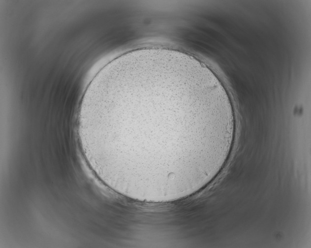 X0000115551440200912181542