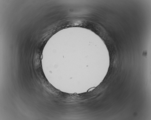 X0000115551442200912181542