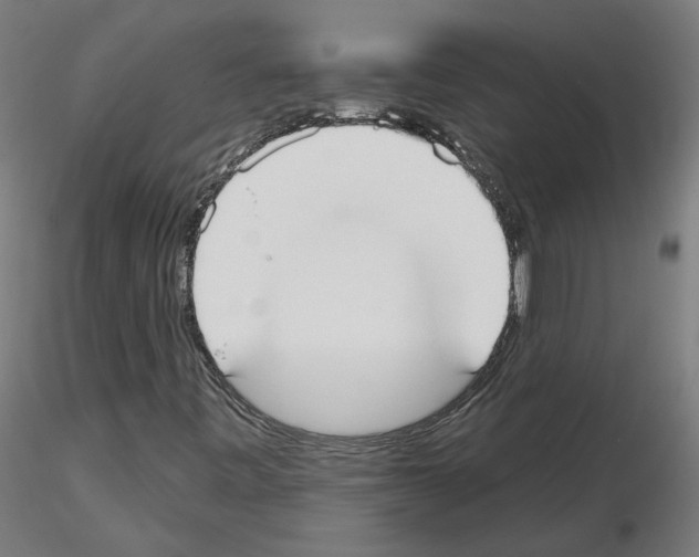 X0000115551443200912181542