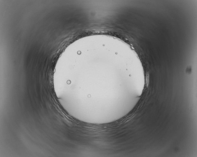 X0000115551444200912181542