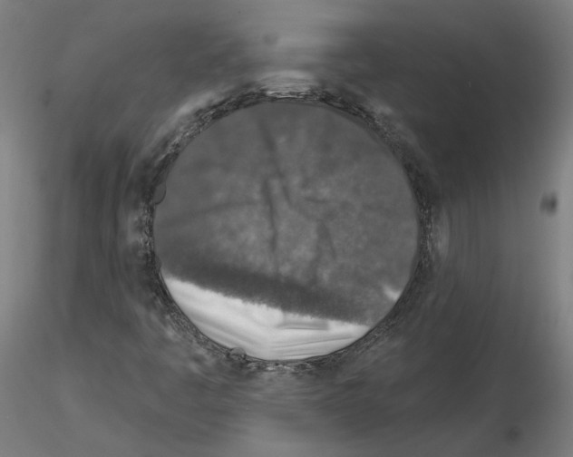 X0000115551445200912181542