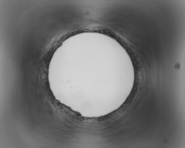 X0000115551447200912181542