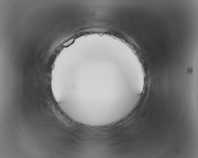 X0000115551448200912181542