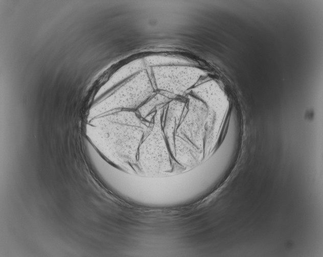 X0000115551449200912181542