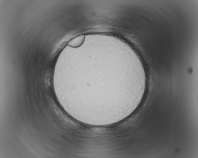 X0000115551451200912181542