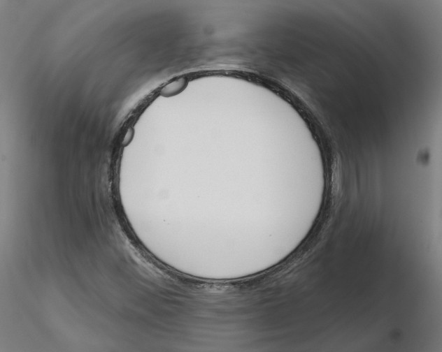 X0000115551452200912181541