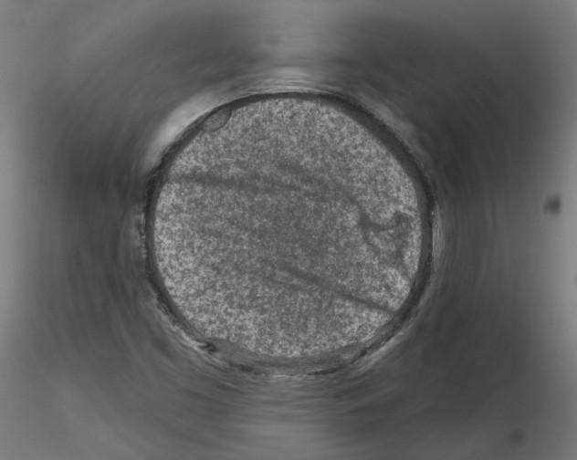 X0000115551453200912181541