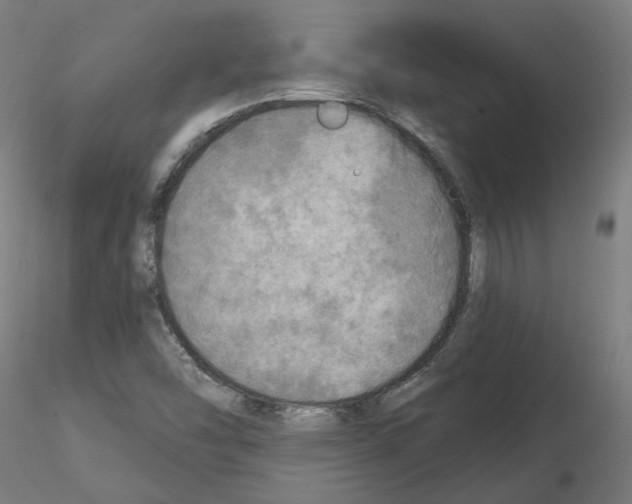 X0000115551454200912181541