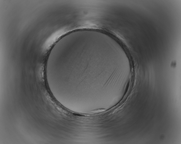 X0000115551455200912181541