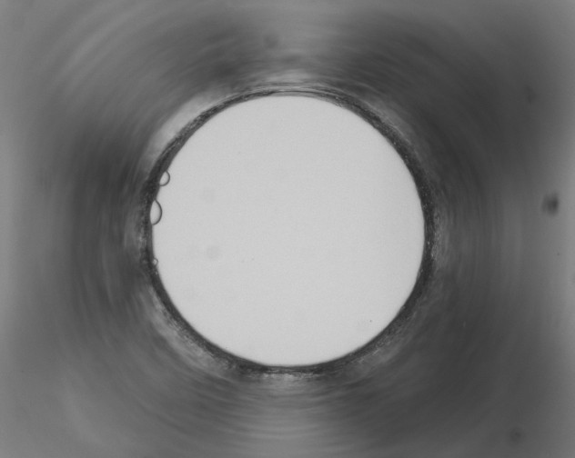 X0000115551458200912181541