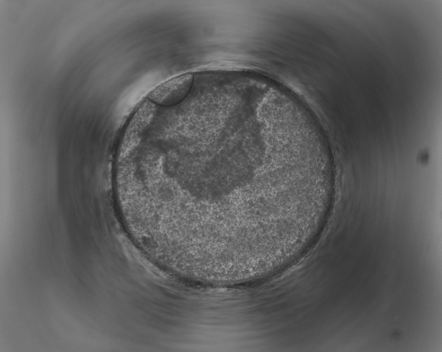 X0000115551459200912181541