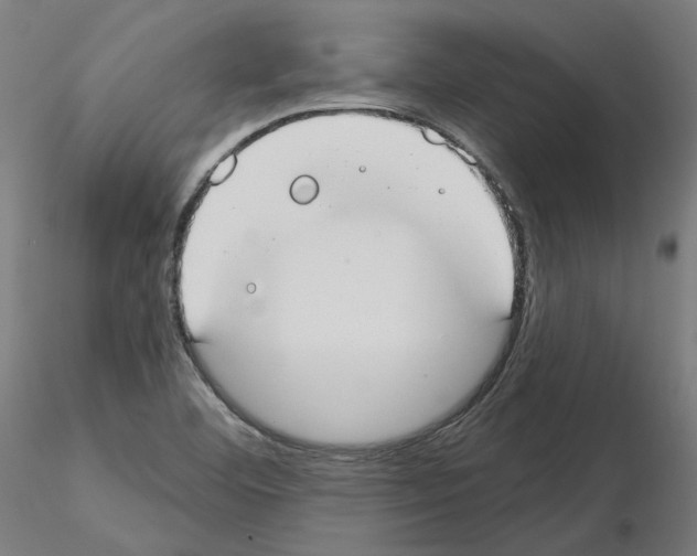 X0000115551460200912181541