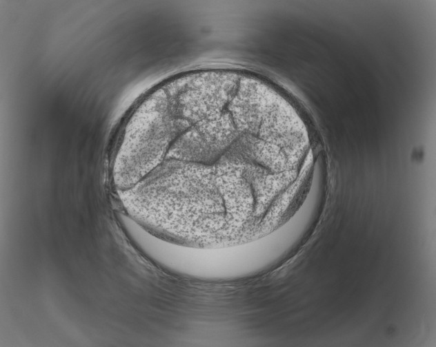 X0000115551461200912181541