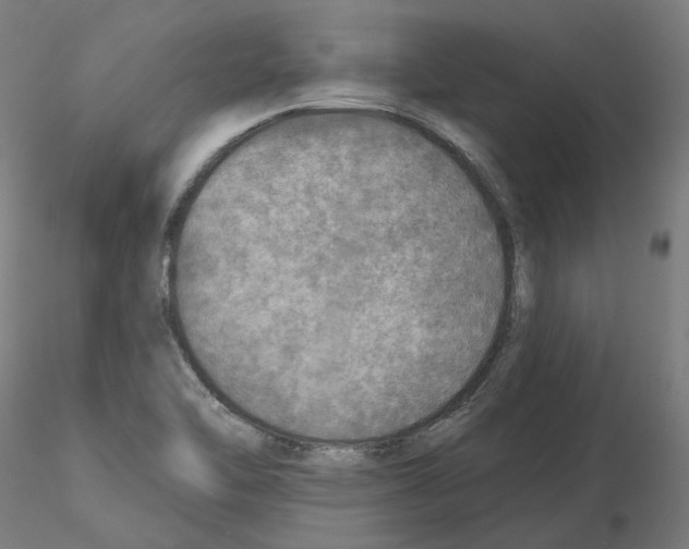 X0000115551462200912181541