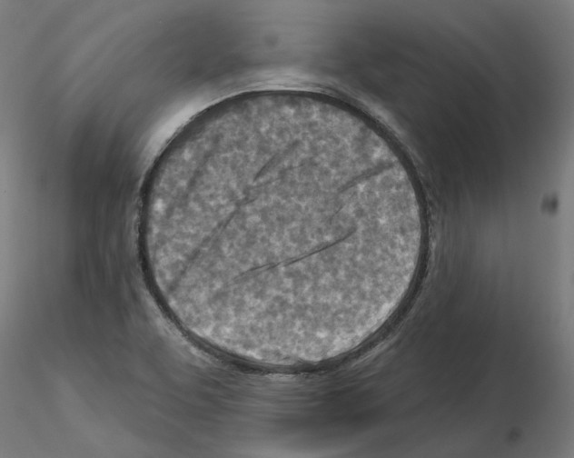 X0000115551463200912181541