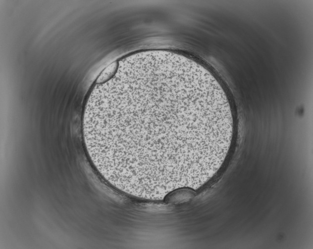 X0000115551465200912181541