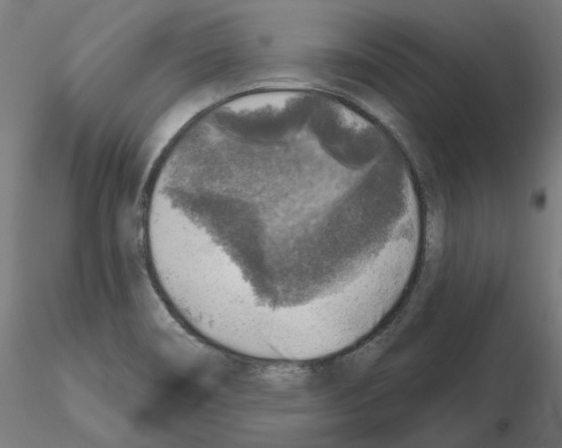 X0000115551466200912181541