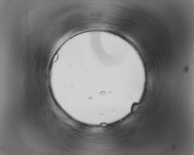 X0000115551467200912181541