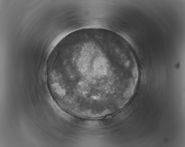 X0000115551468200912181541