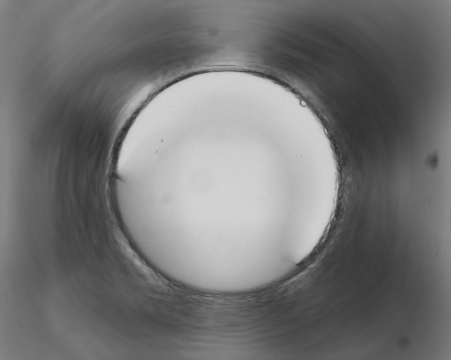 X0000115551469200912181541