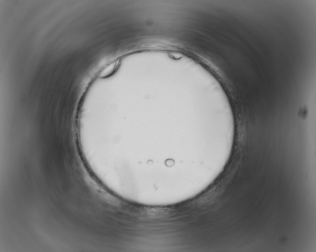 X0000115551471200912181541