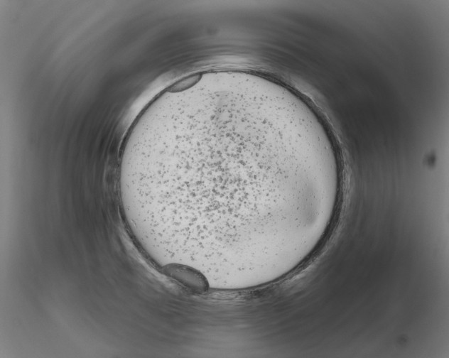 X0000115551473200912181541