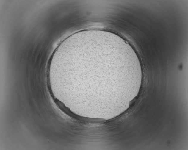 X0000115551475200912181541