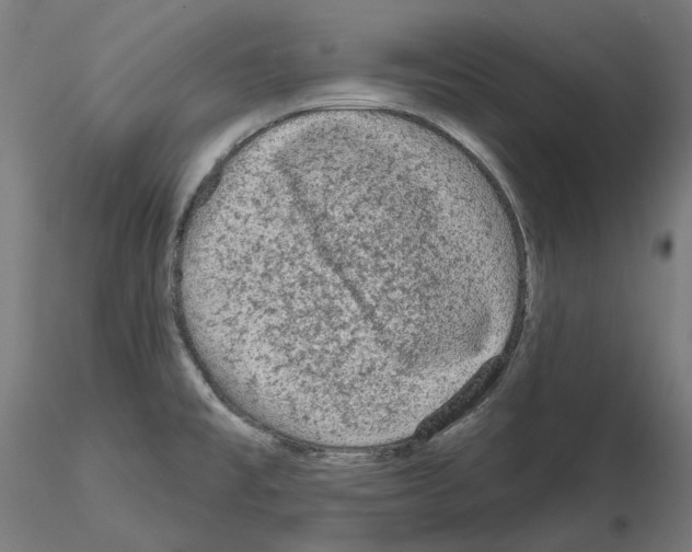 X0000115551477200912181541