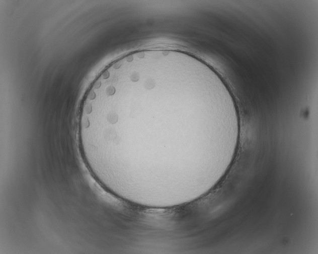 X0000115551478200912181541